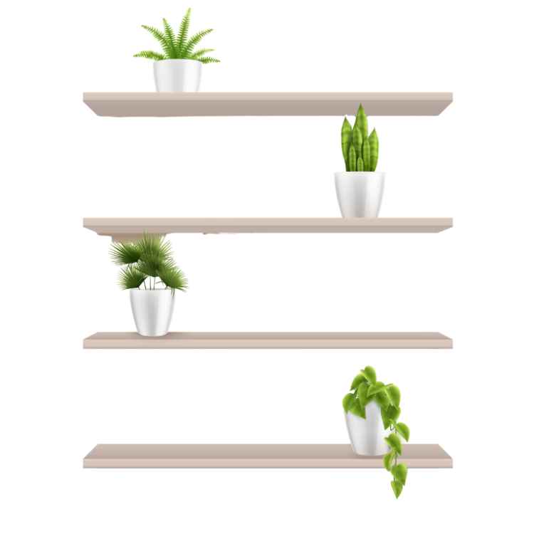 Modern wall shelf